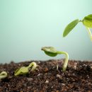 measuring financial progress