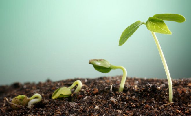measuring financial progress