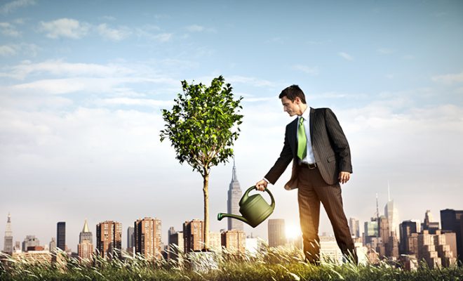 Building-Wealth