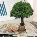 Lifetime-Income