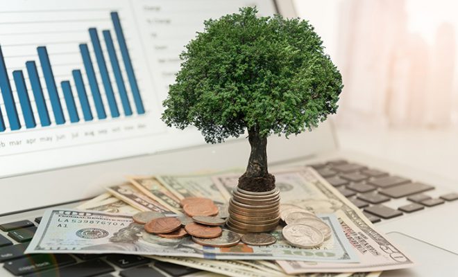 Lifetime-Income
