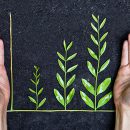 6 Questions on Sustainable Investing That You Need to Ask Your Financial Advisor
